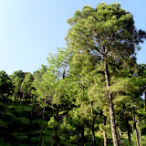 REWALSAR LAKE I OKOLICE