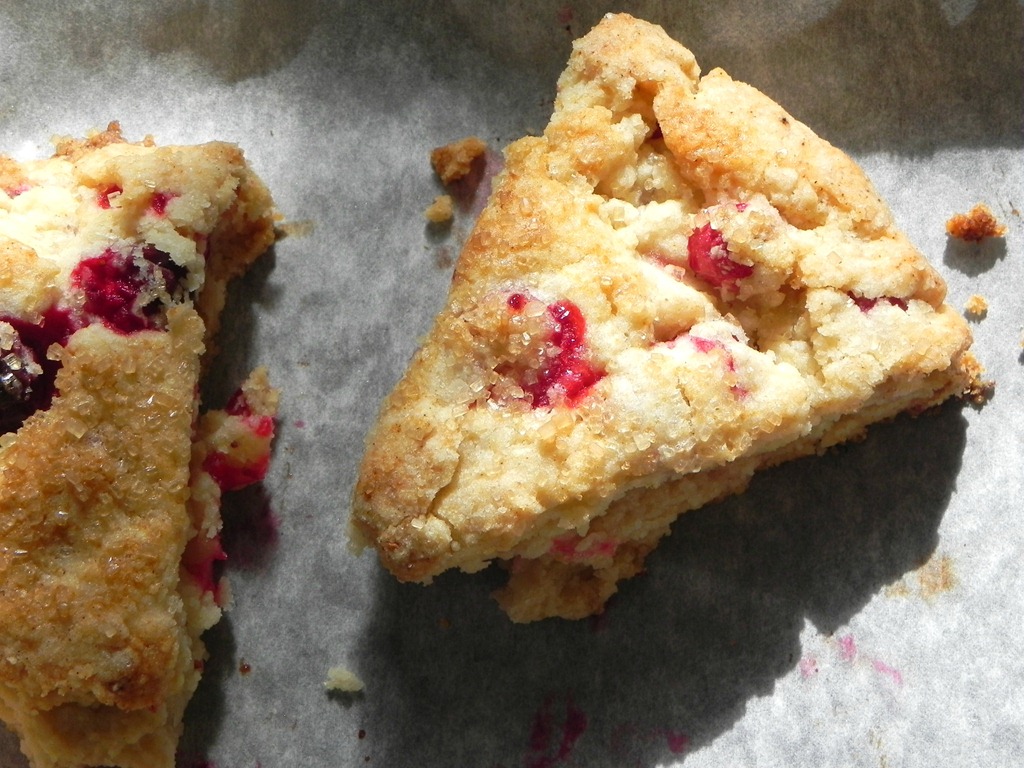 [clementine-cranberry-scones-3%255B4%255D.jpg]