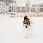 EMMIE-JAN11-6032.jpg