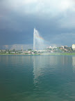 Аутор: Владимир Рађеновић, 2010.