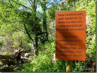 P1020519 P1020519