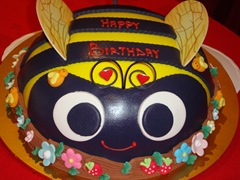 DSC02608