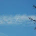 DSC_0102.jpg