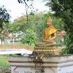 IMG_8494.JPG