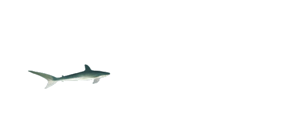 sharkspin