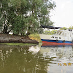 IMG_8239.JPG