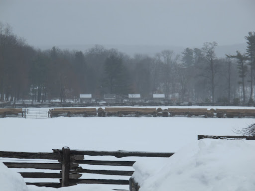 And not a donkey in sight - they must feel the same way and are hanging out in the stable.