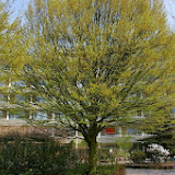IMGP0108.jpg
