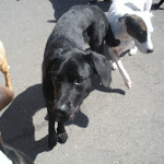 DSCN4668.jpg
