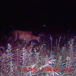 MDGC0250.JPG