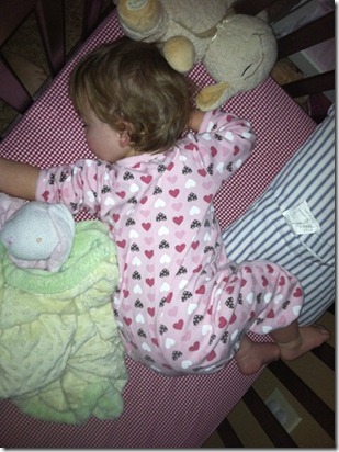 IMG_1050 IMG_1050