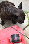 This drill case has the name 'Rob' written on it!  That must mean that Rob the electrician is here doing some wiring!