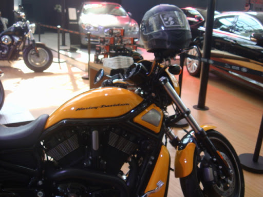 DSC03335.jpg