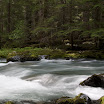 Dungeness River