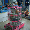 233 PINK 06.JPG