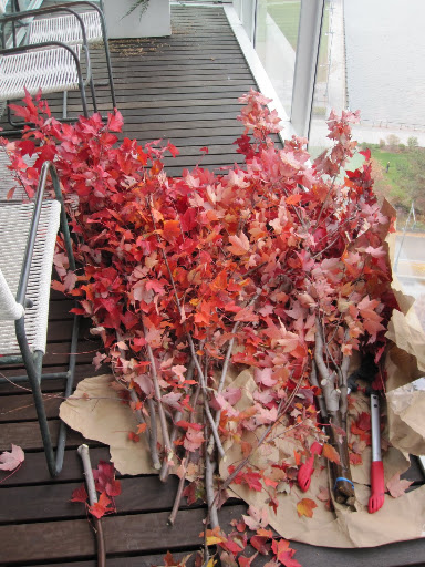 The branches are cut and ready to be used for the arrangement.