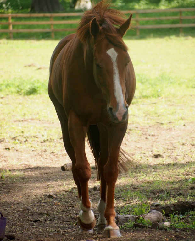 [14%2520June%252011%252014-06-2013%252008-00-34%255B3%255D.jpg]