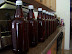 Beer Making - 1st Brew