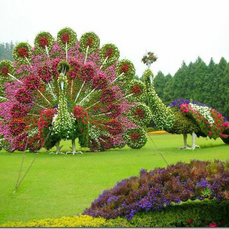 Garden of Eden