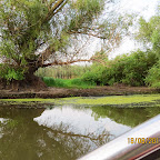 IMG_8218.JPG