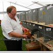 Poultry 004.jpg