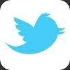 twitter bird