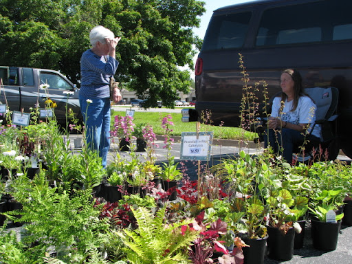 It's not all produce: Lots of home-grown plants are also available.