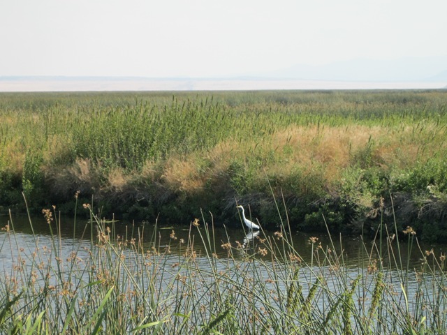 [110909145704H2.jpg]
