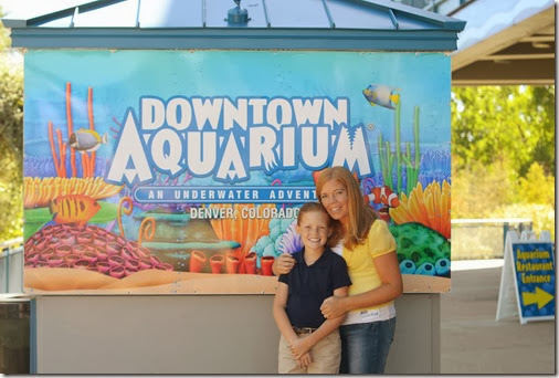 Aquarium17