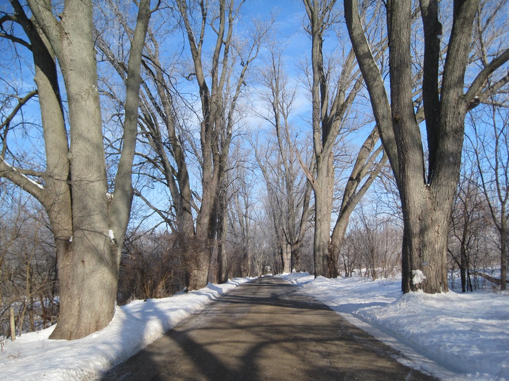 [IMG_5435%255B4%255D.jpg]