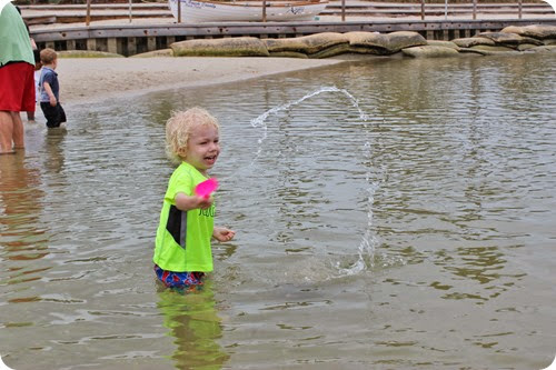 IMG_3204 IMG_3204