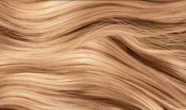 5- O cabelo 5- O cabelo