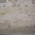 R0028015.JPG