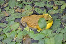 DSC_0076.JPG