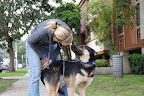 Walk your pets during the cool parts of the day
and stick to the grass. Walk your pets during the cool parts of the day
and stick to the grass.