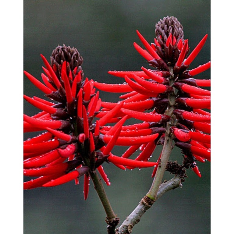 [aaaa-Mulungu-verna3.jpg]