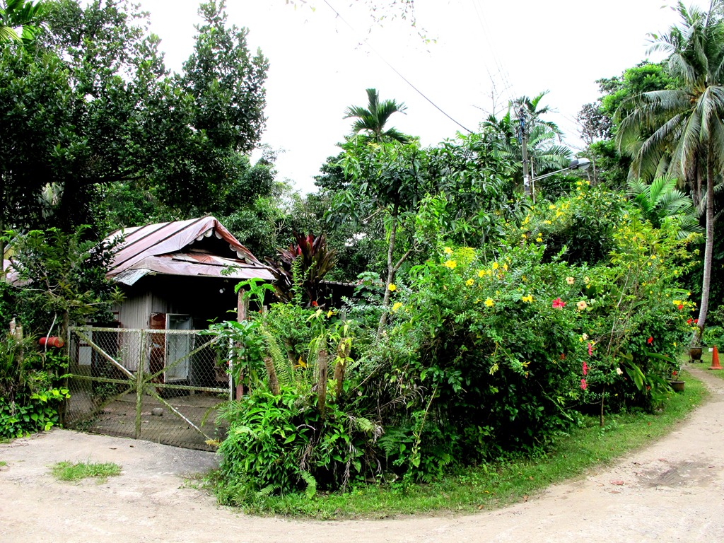 [IMG_6110%255B2%255D.jpg]