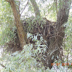 DSCN9688.JPG