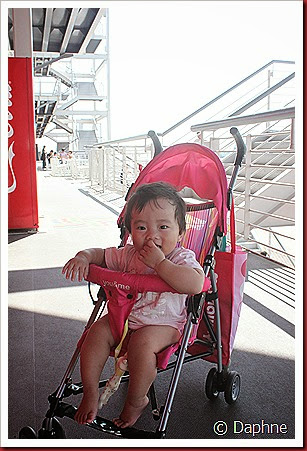 IMG_4828 IMG_4828