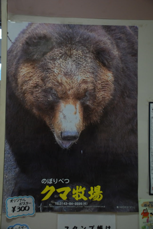 hokkaido_551.jpg