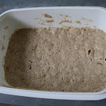 This is a 15% preferment of wholewheat, after 12 hours of resting.