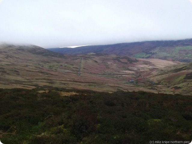 kings forest of geltsdale