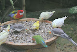 IMG_8464.JPG