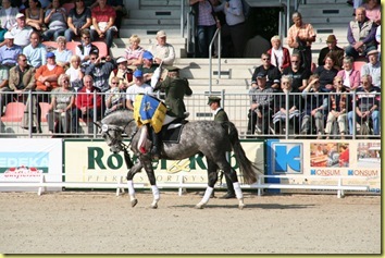 IMG_1685 IMG_1685