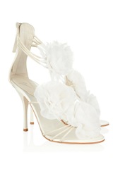 Giuseppe Zanotti- con flores