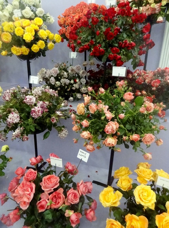 [Hampton%2520Court%2520Flower%2520Show%2520007%255B7%255D.jpg]