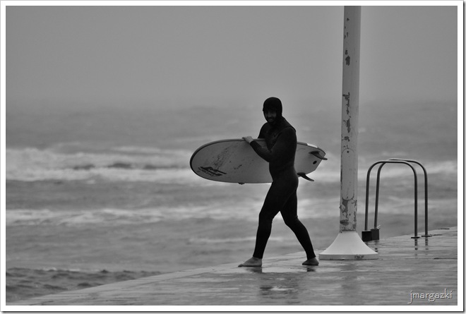 DSC_6561 DSC_6561