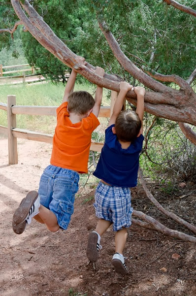 Garden of the Gods Batch3-3