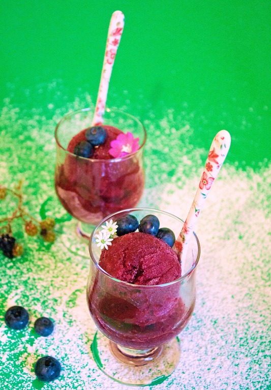 Sorbet με φρούτα του δάσους (1 von 1) Sorbet με φρούτα του δάσους (1 von 1)