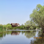 IMG_7698.JPG